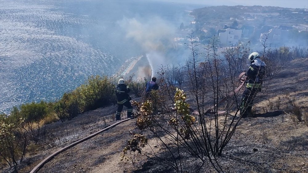 Makilik alanda çıkan yangın kontrol altına alındı