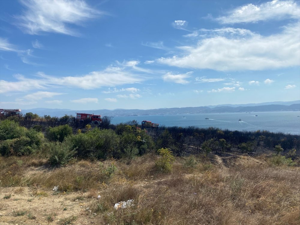 Makilik alanda çıkan yangın kontrol altına alındı