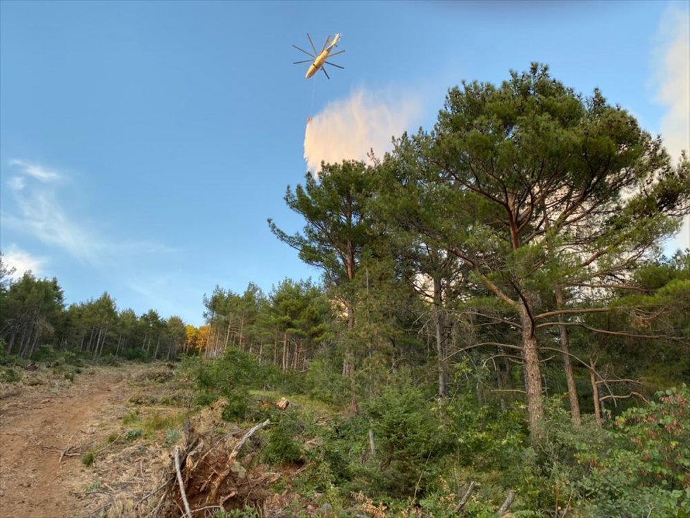 Hatay' Samandağı’nda orman yangını