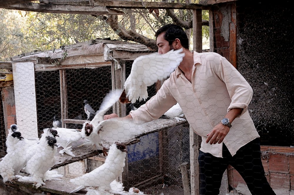 Güvercin tutkusu Bursalı genç kuş çiftliği kurdu