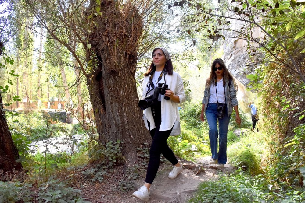 Ihlara Vadisi'ndeki bitki ve hayvan türleri kaydediliyor