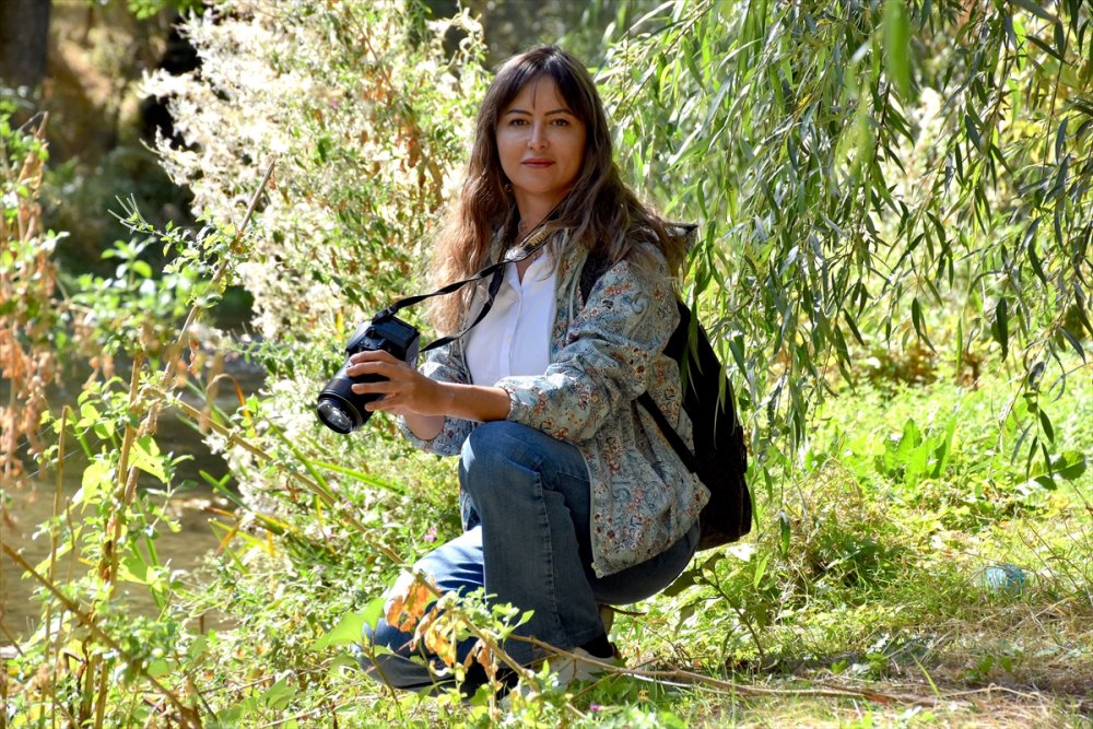 Ihlara Vadisi'ndeki bitki ve hayvan türleri kaydediliyor