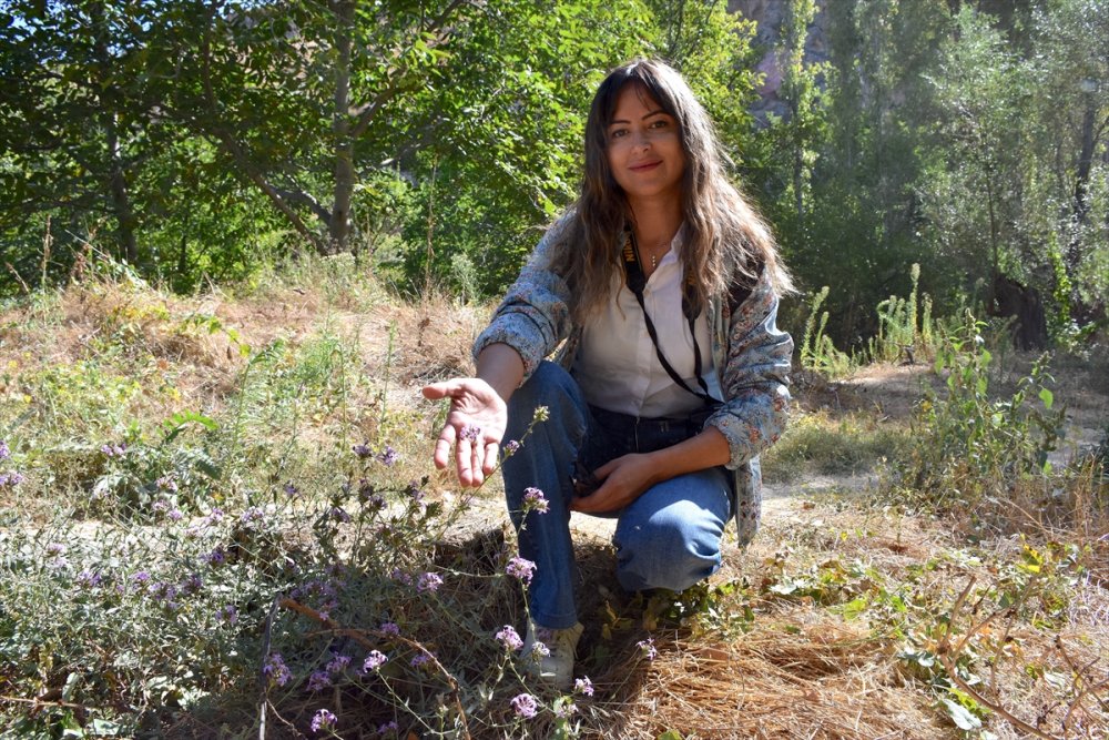 Ihlara Vadisi'ndeki bitki ve hayvan türleri kaydediliyor
