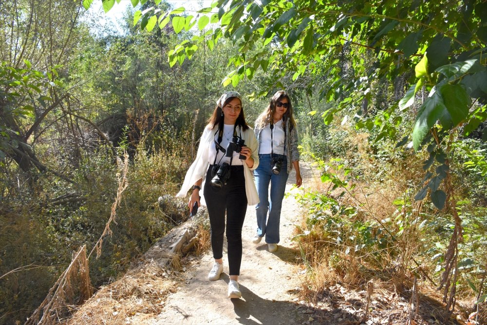 Ihlara Vadisi'ndeki bitki ve hayvan türleri kaydediliyor