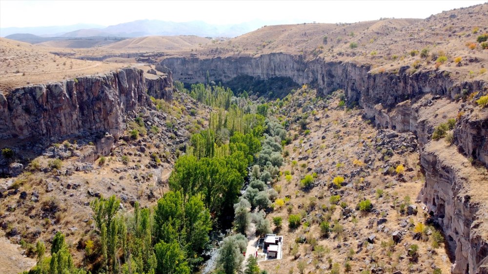Ihlara Vadisi'ndeki bitki ve hayvan türleri kaydediliyor