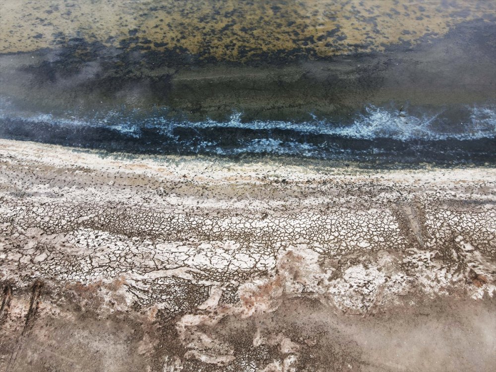 Kuş cenneti Bafa Gölü'nün suyu yaklaşık 20 metre çekildi