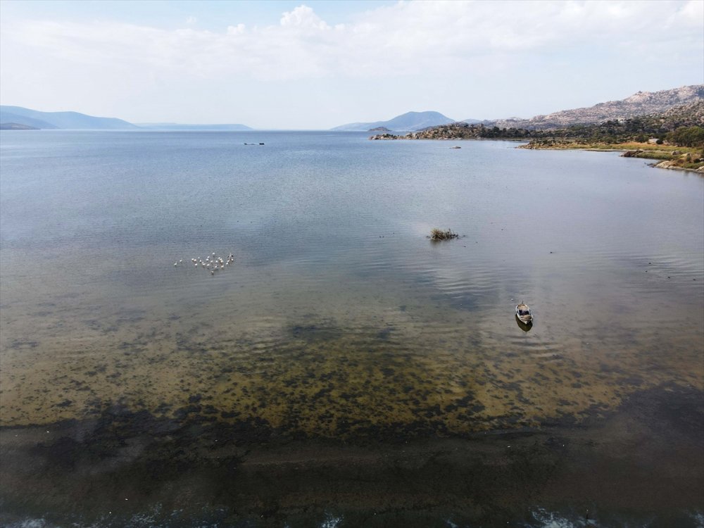 Kuş cenneti Bafa Gölü'nün suyu yaklaşık 20 metre çekildi