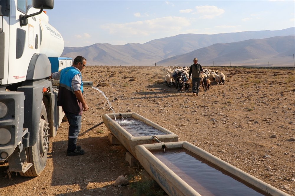 Yayla dönüşü susuzluktan bitkin düşen koyunlara tankerlerle su taşındı
