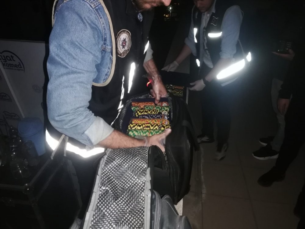 Kumar oynattıkları iddiasıyla 10 şüpheli gözaltında