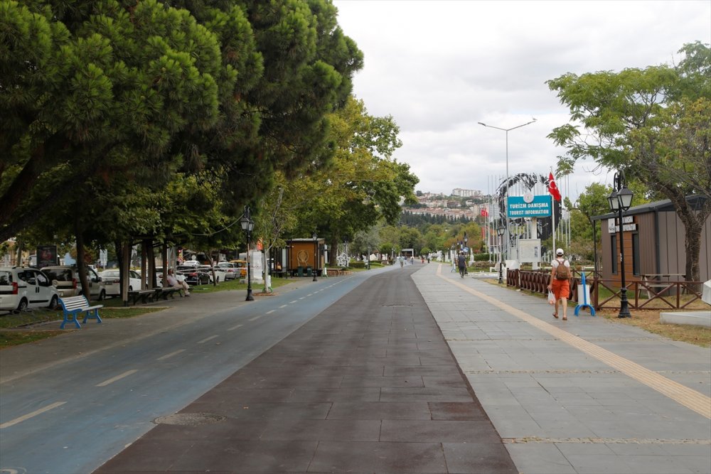 Şehir peyzajlarında doğal bitki kullanımı önerisi