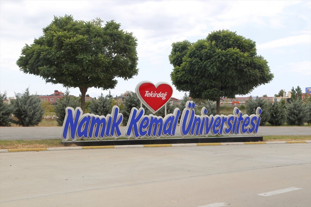 Şehir peyzajlarında doğal bitki kullanımı önerisi