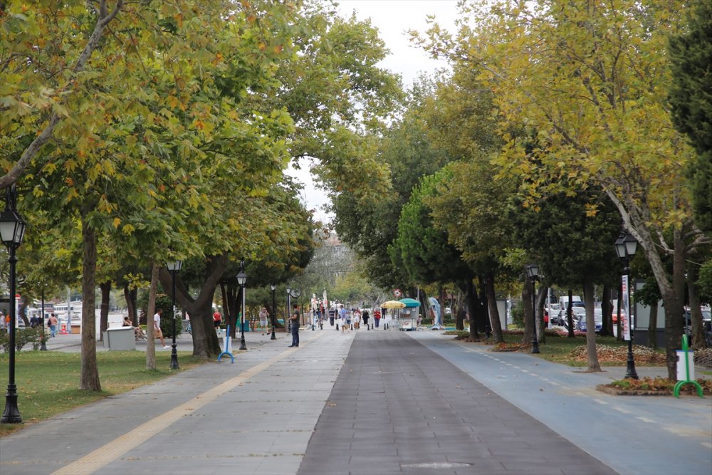 Şehir peyzajlarında doğal bitki kullanımı önerisi