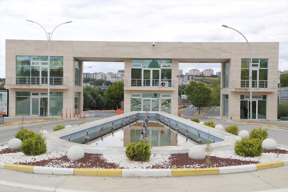 Şehir peyzajlarında doğal bitki kullanımı önerisi