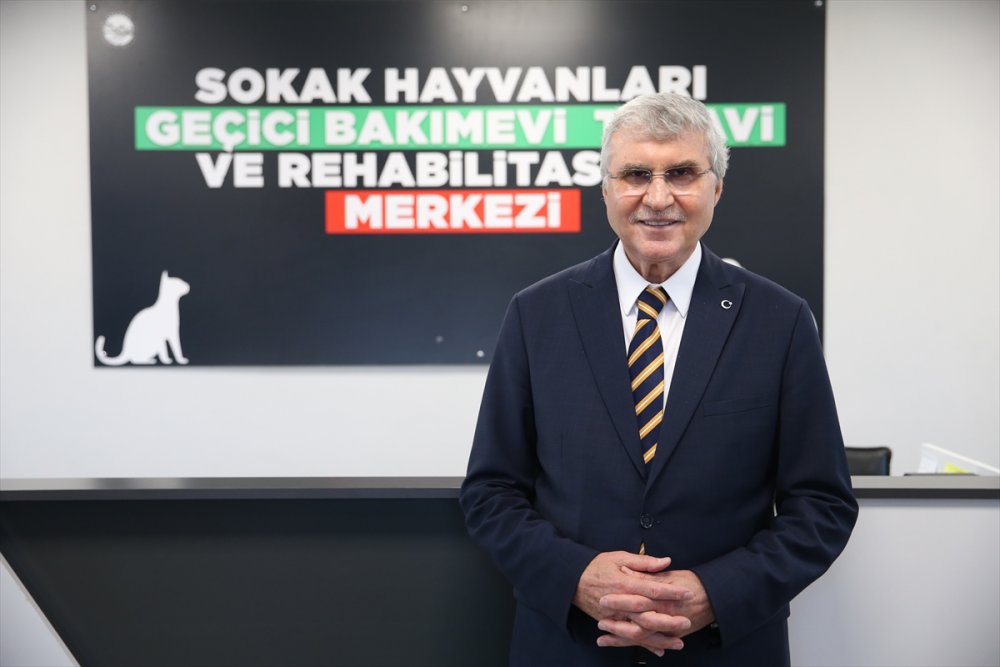 Yaralı ve hasta hayvanlara belediye bakıyor