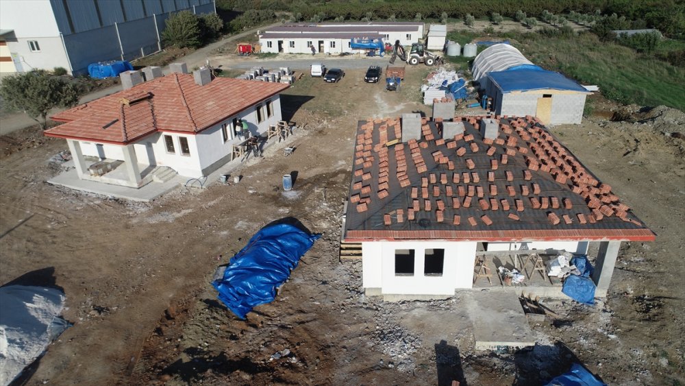 Afet evlerinin yapıldığı bölgede hayvancılık faaliyetleri de yapılacak