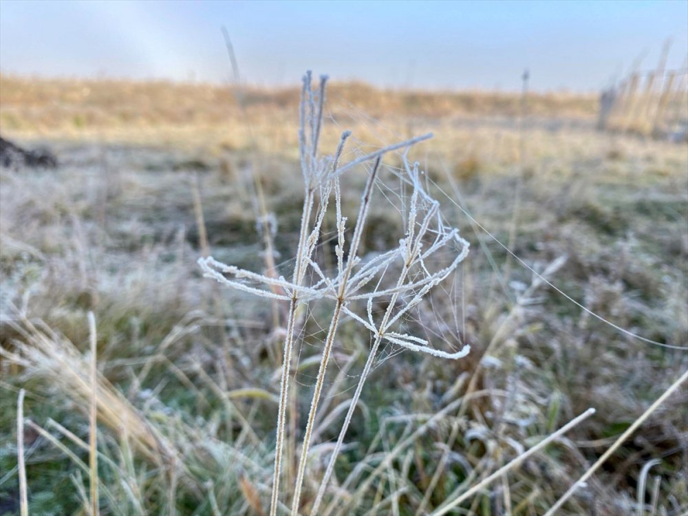 Ardahan'da sis ve buzlanma oldu