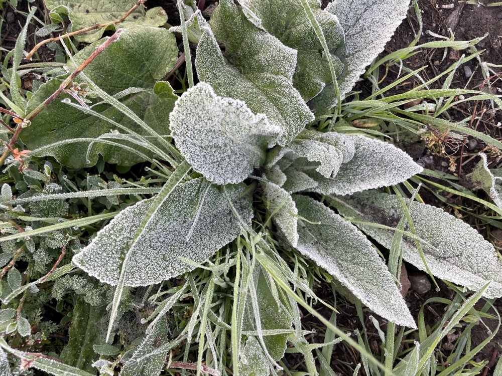 Ardahan'da sis ve buzlanma oldu