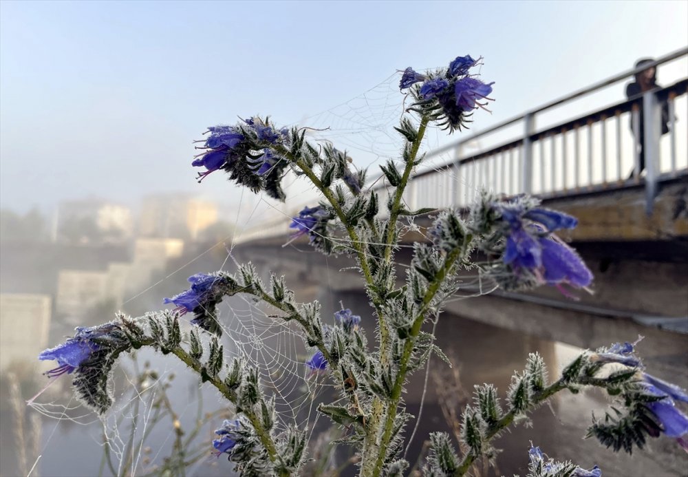 Ardahan'da sis ve buzlanma oldu