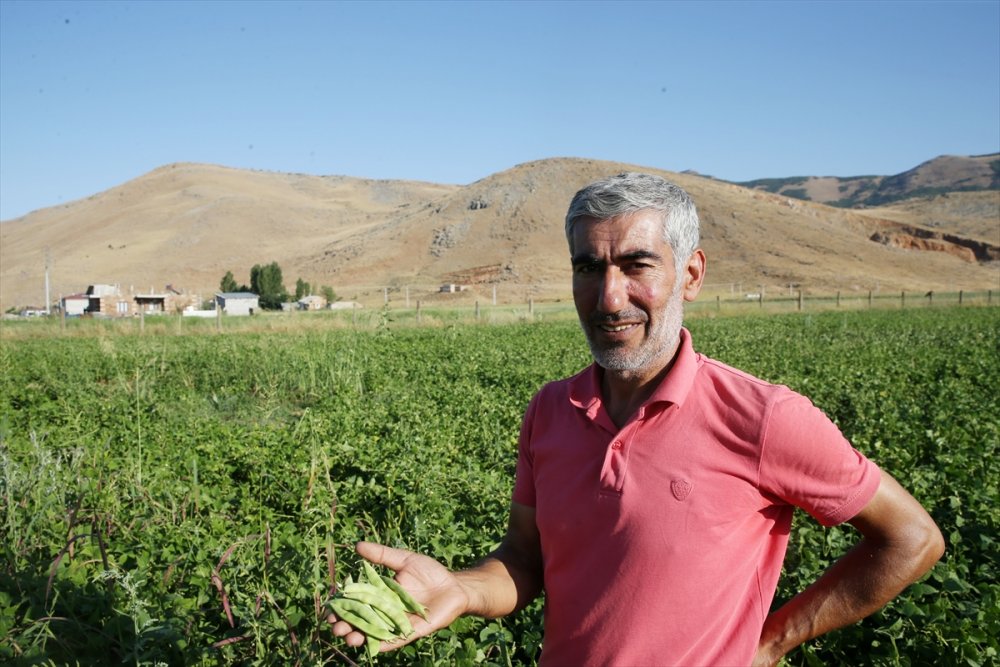 Atıl durumdaki arazilerden 200 milyon lira gelir elde edildi