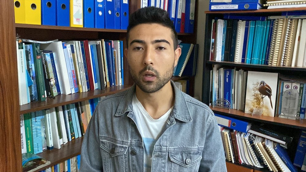 Caretta caretta yuvasında yavrular bulundu