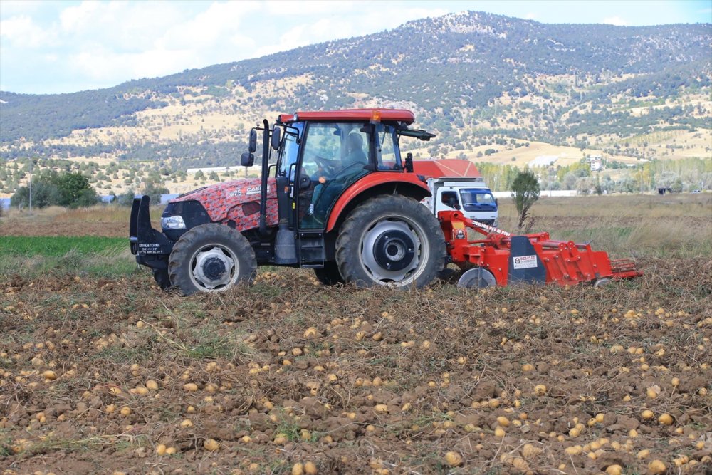 Hedef, patates üretimi ve çeşitliliği artırmak