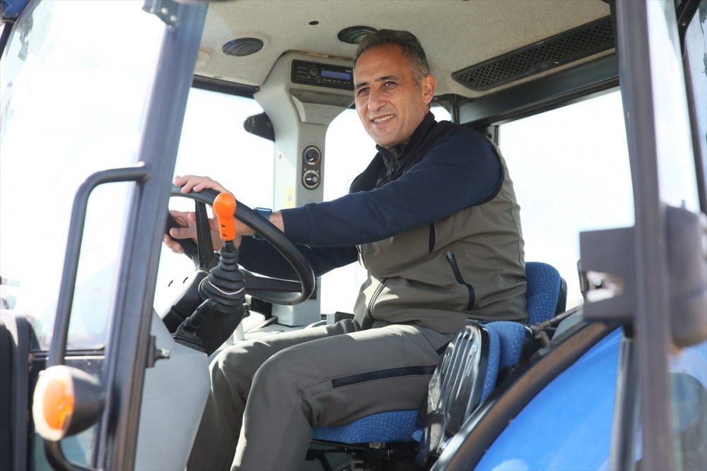 5 bin 800 dekarlık atıl mera ıslah edilerek hayvancılığa kazandırıldı