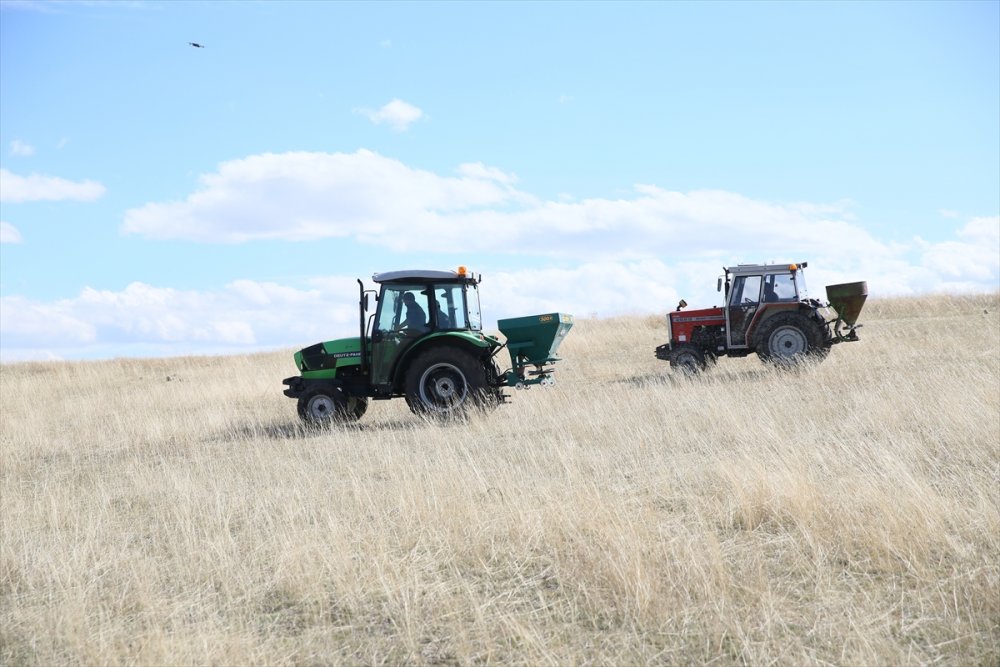 5 bin 800 dekarlık atıl mera ıslah edilerek hayvancılığa kazandırıldı