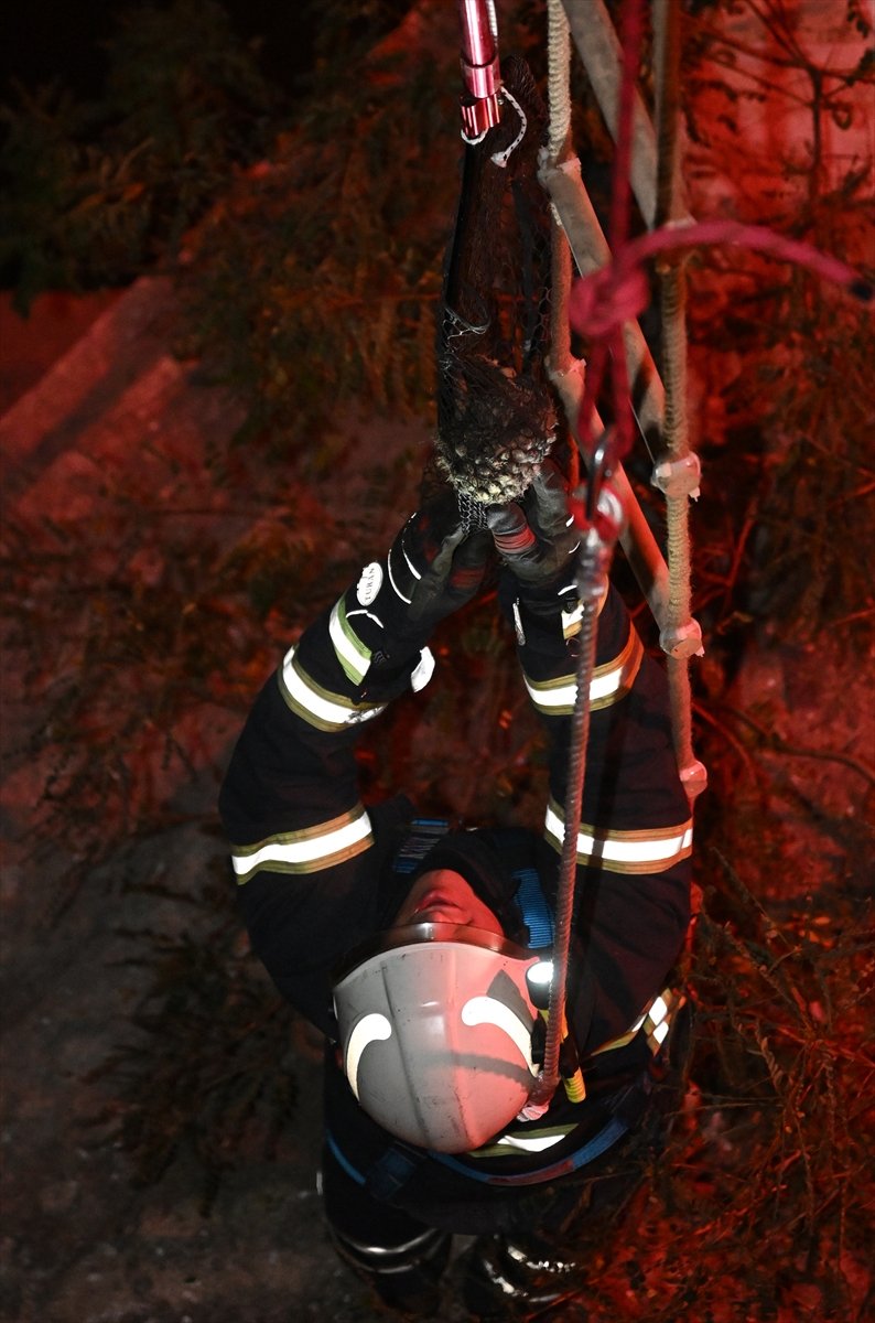 Mahsur kalan yavru kedi kurtarıldı