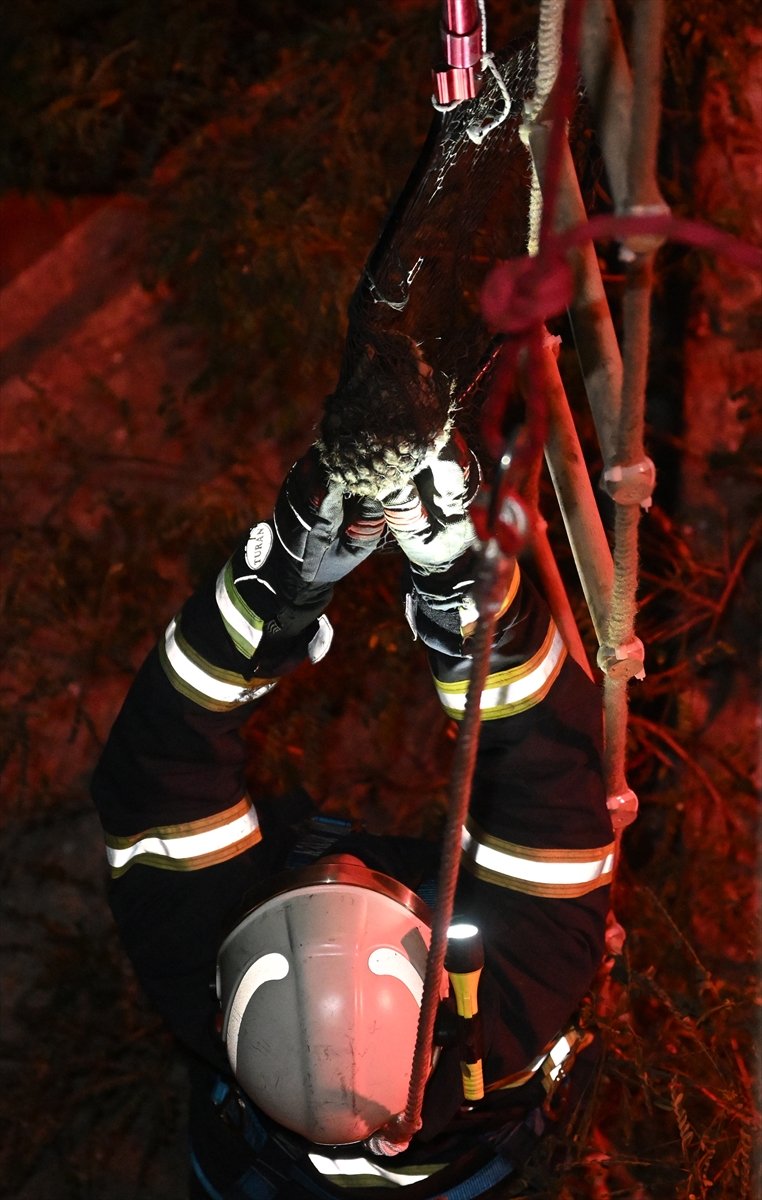 Mahsur kalan yavru kedi kurtarıldı