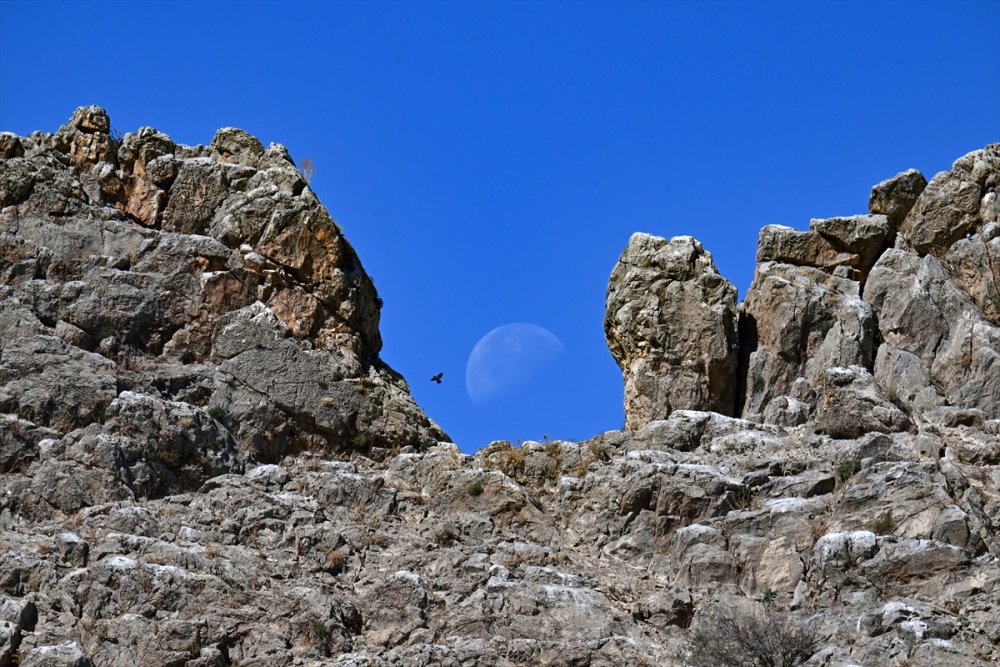Van Gölü'ndeki Akdamar Adası, yüzlerce ziyaretçi alacak