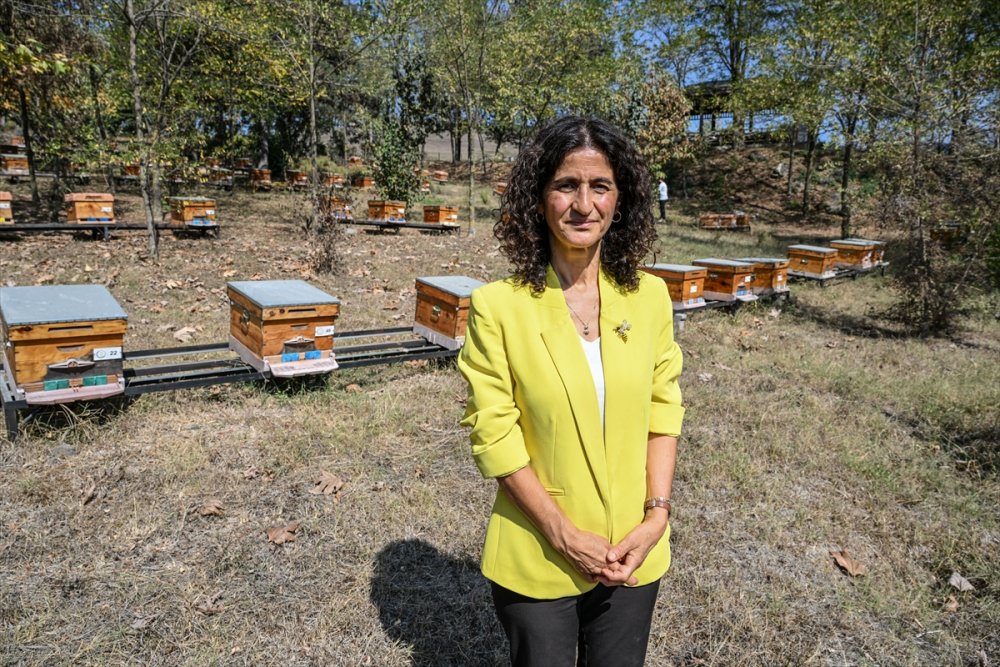 Yaban arılarının azalıyor, tarım zararlılarının artıyor