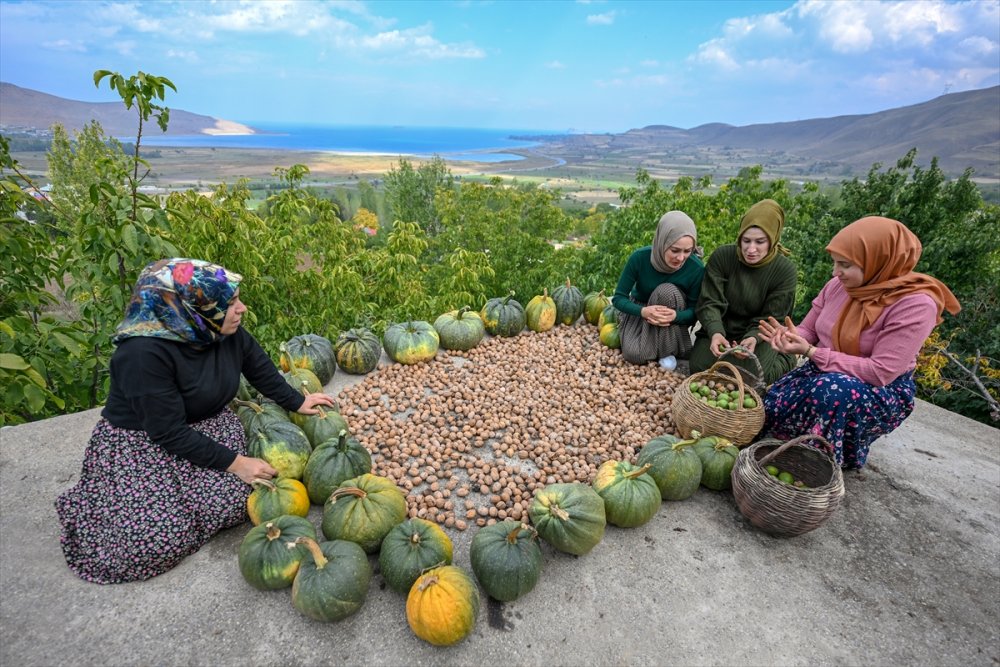 Dağların eteklerinden toplanan cevizler ülke geneline gönderiliyor