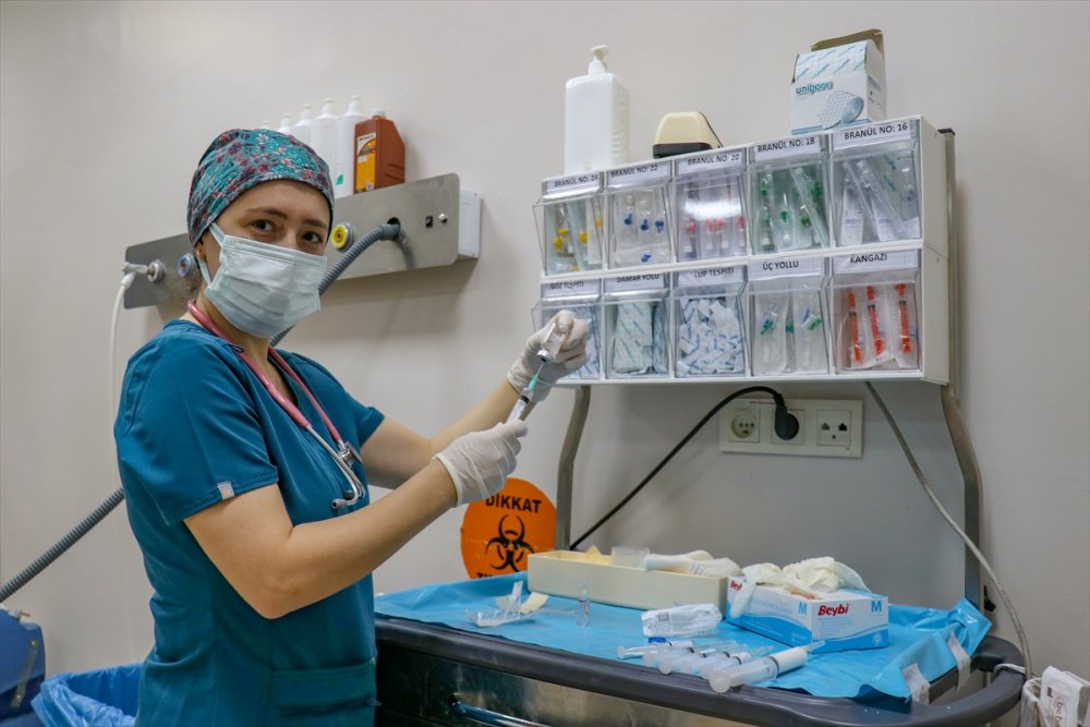 Anestezi uzmanları ameliyatlarda cerrahi ekibin en büyük yardımcısı oluyor