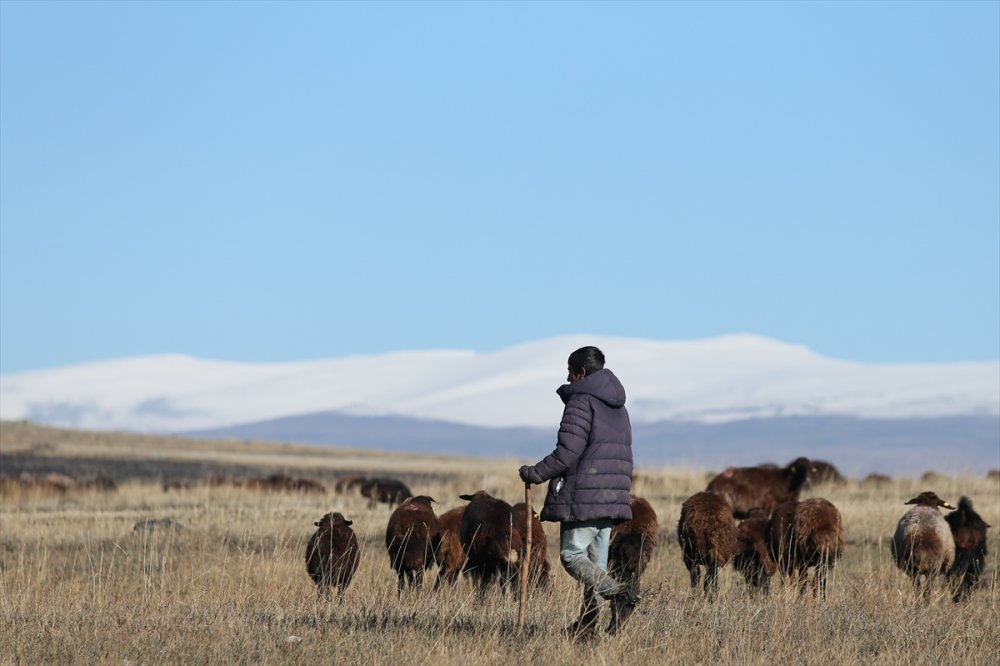 Kars'ta ve Ağrı'da soğuk hava etkili oldu