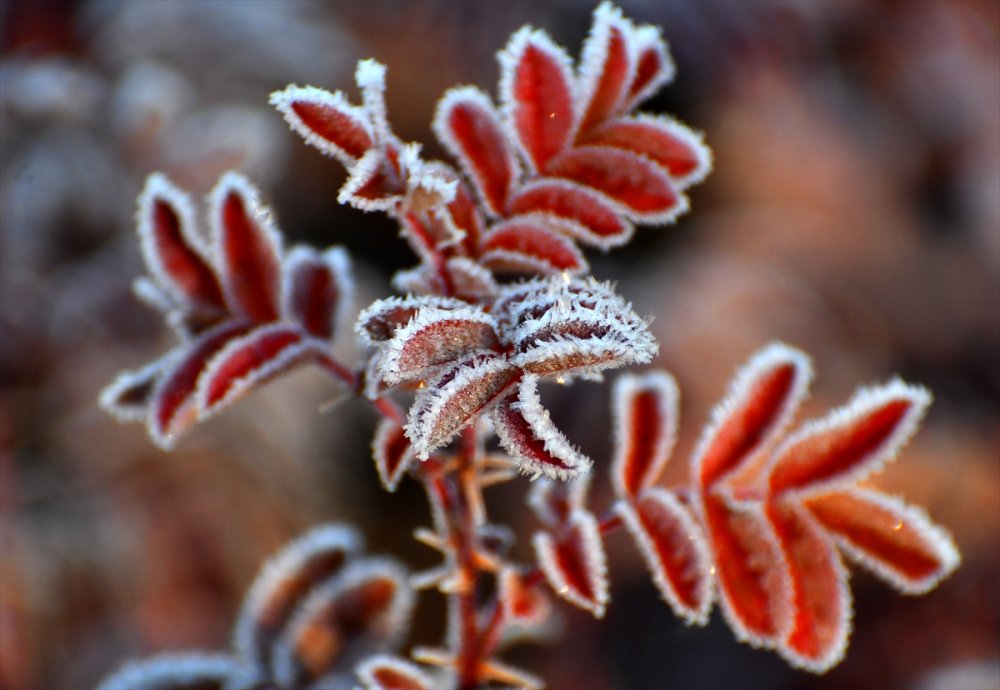 Kars'ta ve Ağrı'da soğuk hava etkili oldu