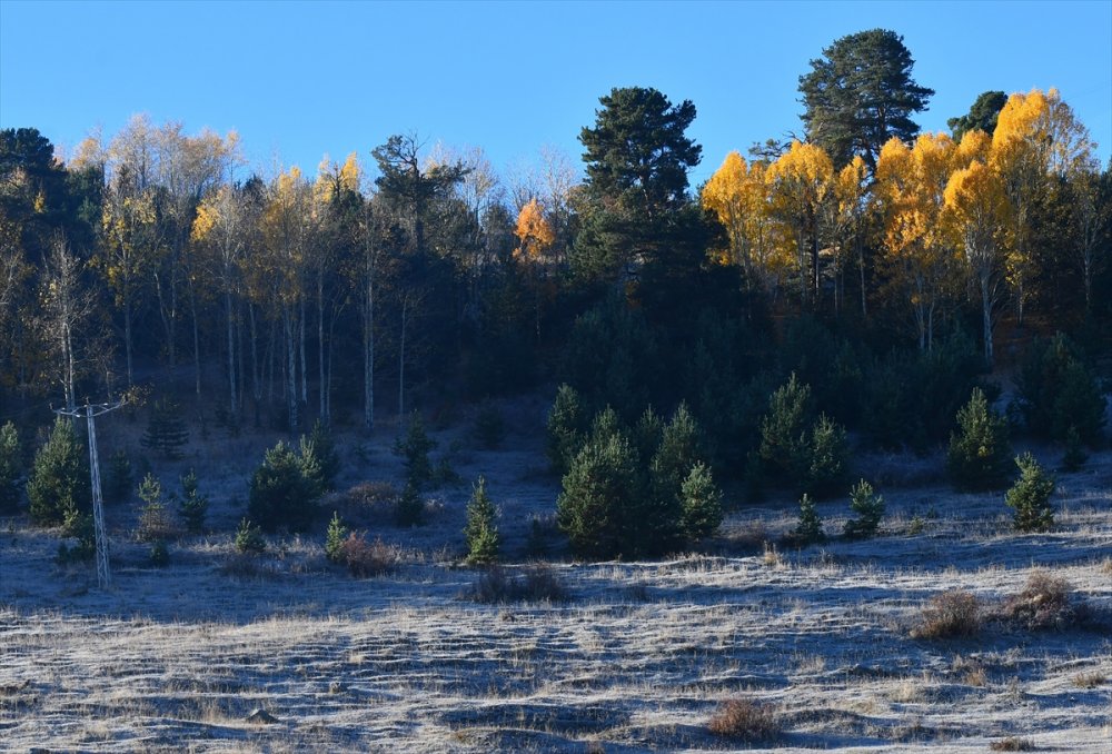 Kars'ta ve Ağrı'da soğuk hava etkili oldu