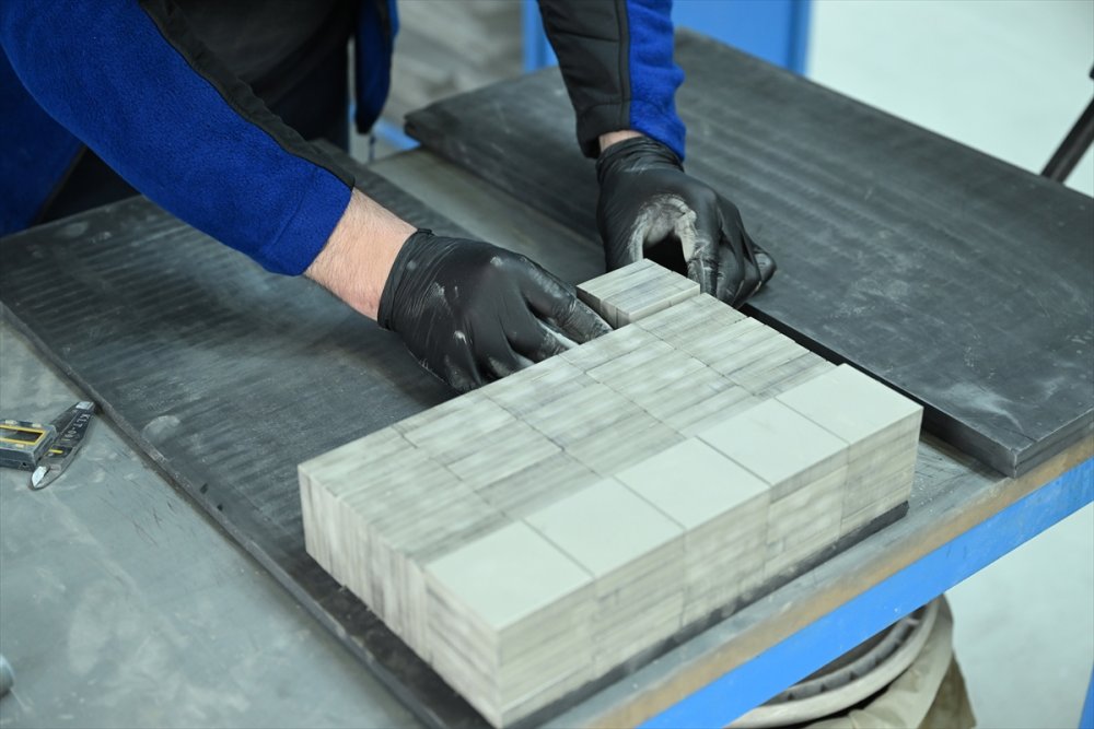 ABD'lilerin istediği Alman şirketi Türkler aldı