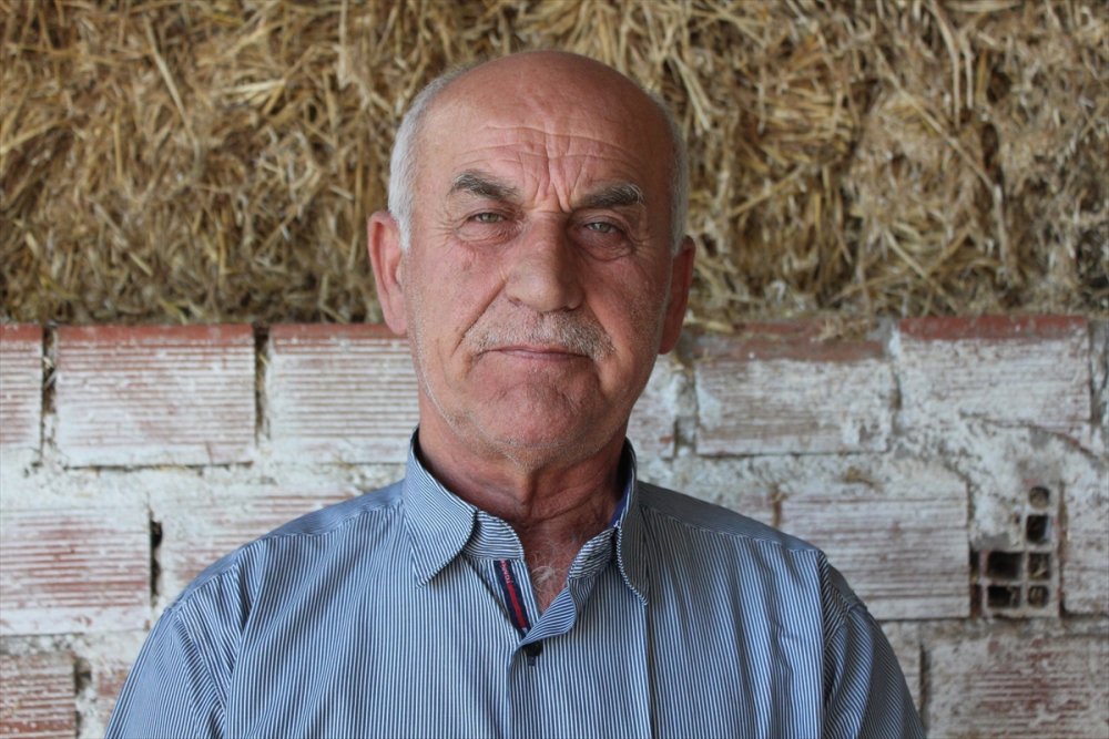 Kırmızılahanada 200 bin ton üzeri rekolte beklentisi