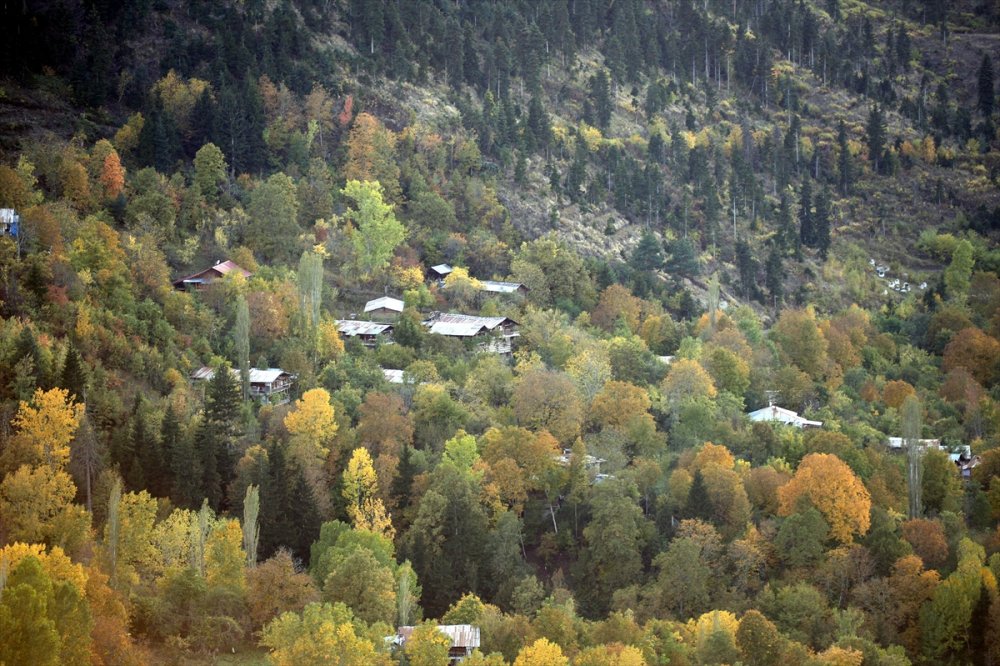 Şavşat'ta sonbahar renkleri hakim oldu