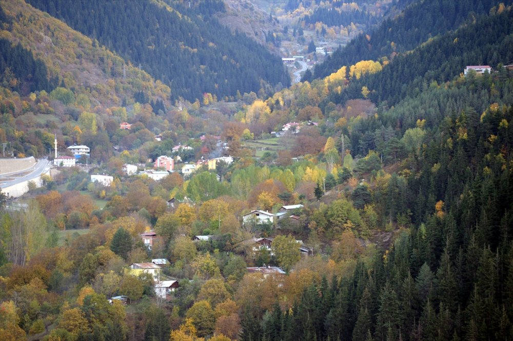 Şavşat'ta sonbahar renkleri hakim oldu