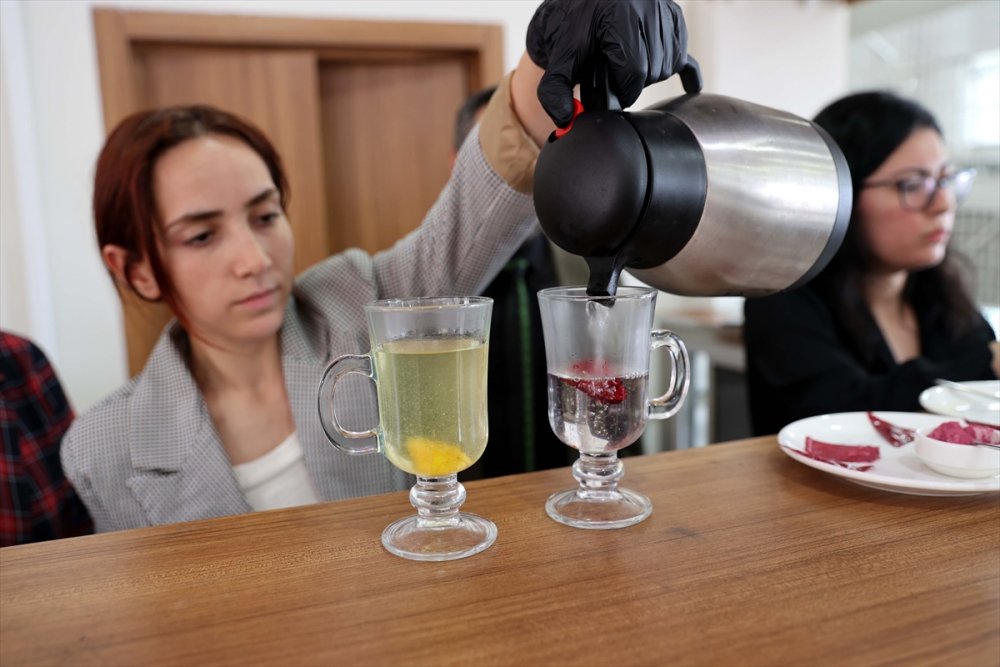 Türk bilim insanları mikroplastik riski olmayan yenilebilir bitki çayı poşeti geliştirdi