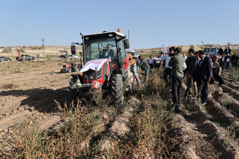 Nevşehir Valisi Ali Fidan, patates hasadında işçilerle "kova attı"