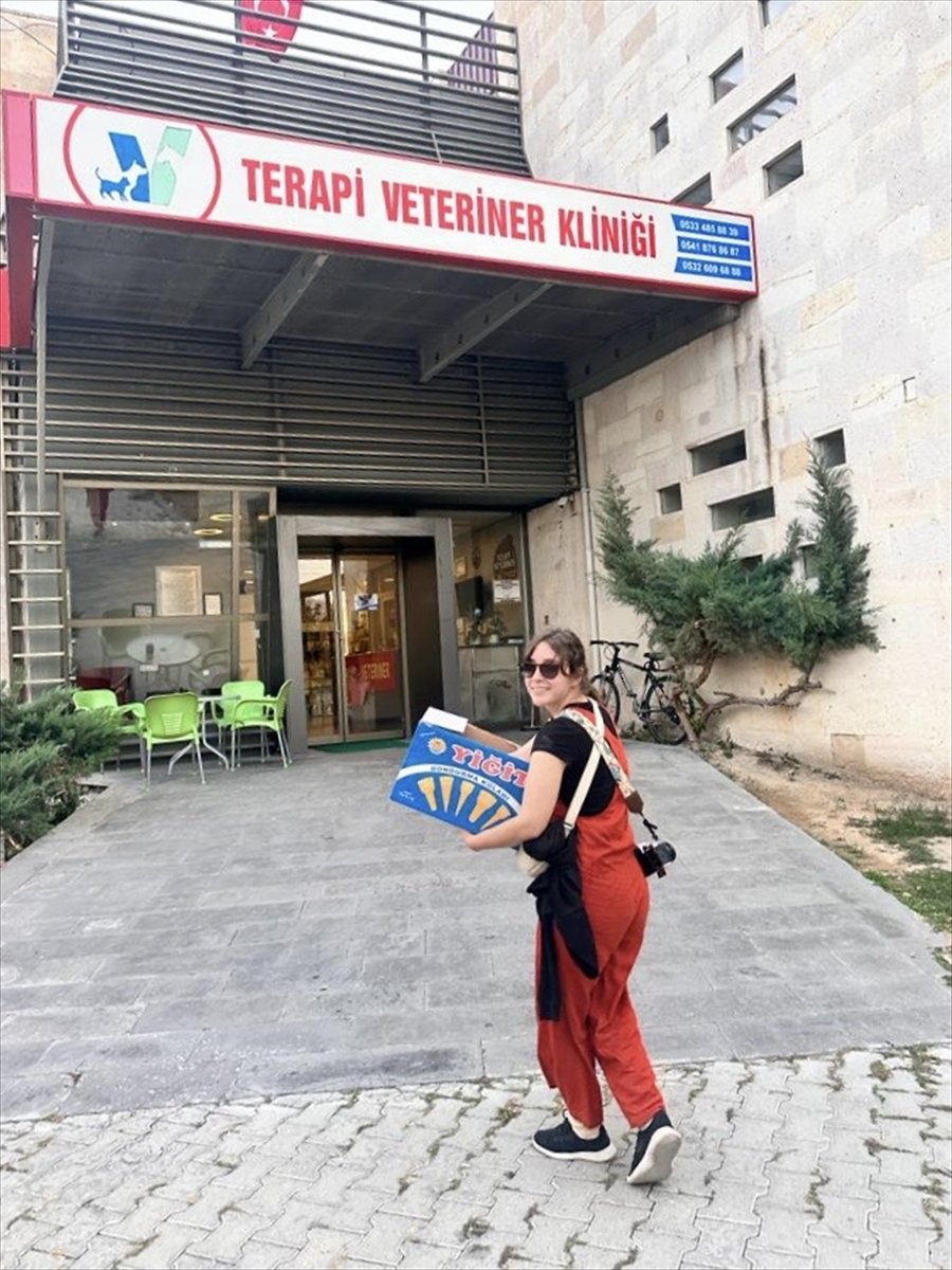 Avanos'ta Kanadalı turist yolda gördüğü yaralı kediyi tedavi ettirdi