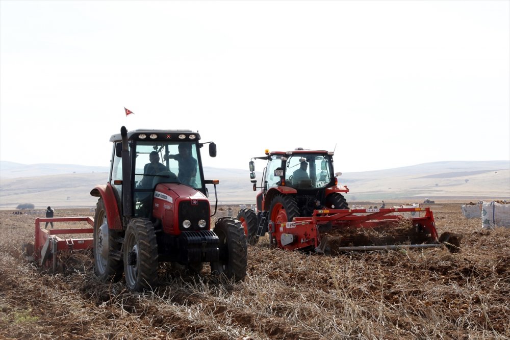 Malatya'da patatesten 6 bin ton rekolte bekleniyor