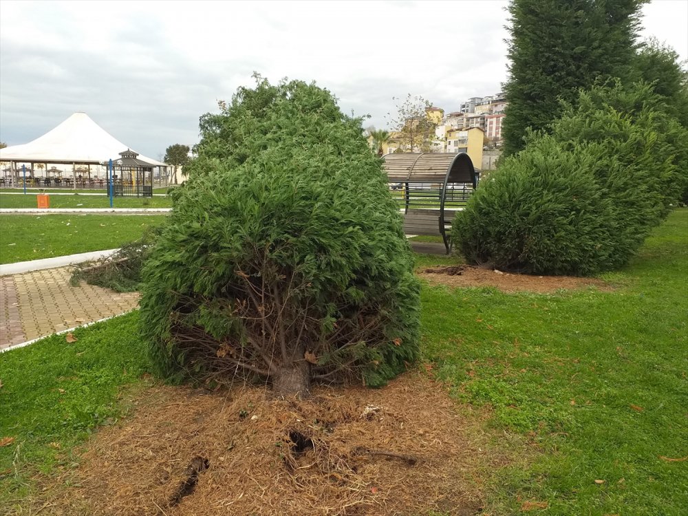 Fırtına ve sağanağın vurduğu Zonguldak'ta birçok yapıda hasar oluştu