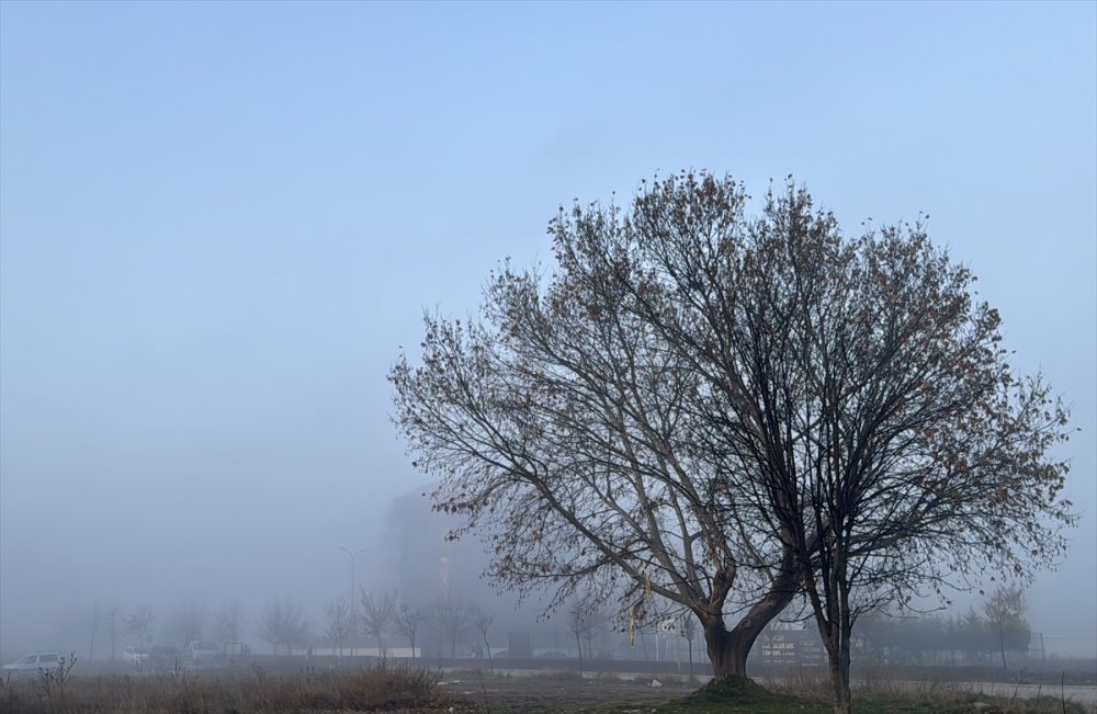 Eskişehir'de sis etkili oldu