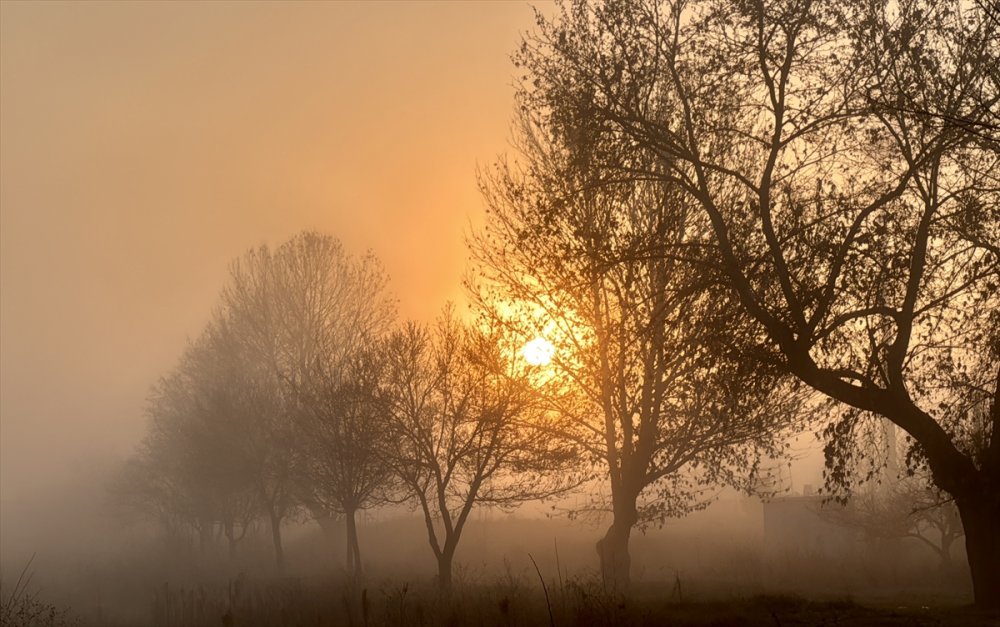 Eskişehir'de sis etkili oldu
