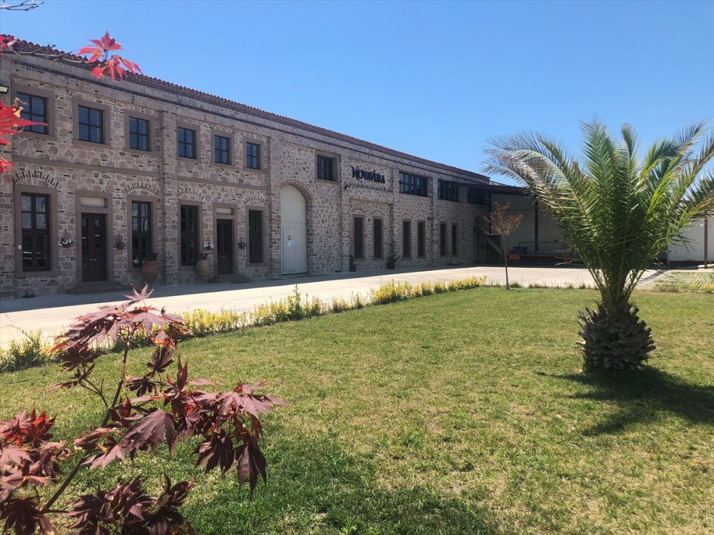 Bahar Alan Ürettiği zeytinyağı ile dünyanın en iyi 4'üncü üreticisi oldu