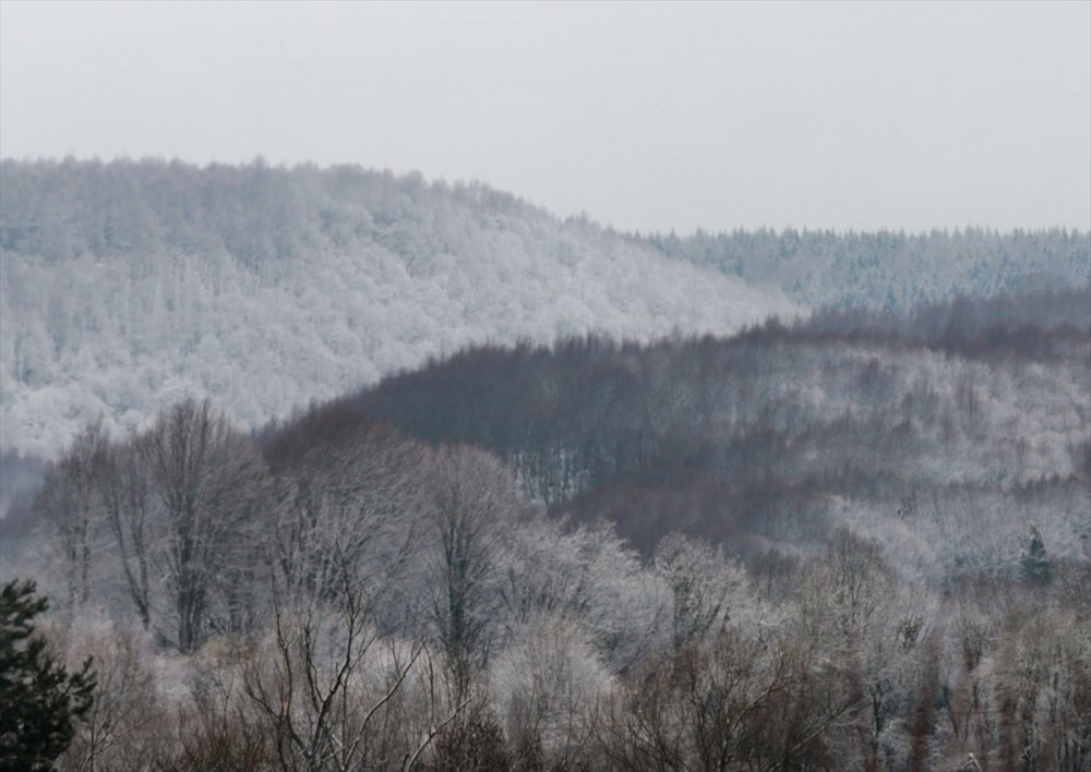 Bolu'nun yüksek kesimleri beyazlara büründü