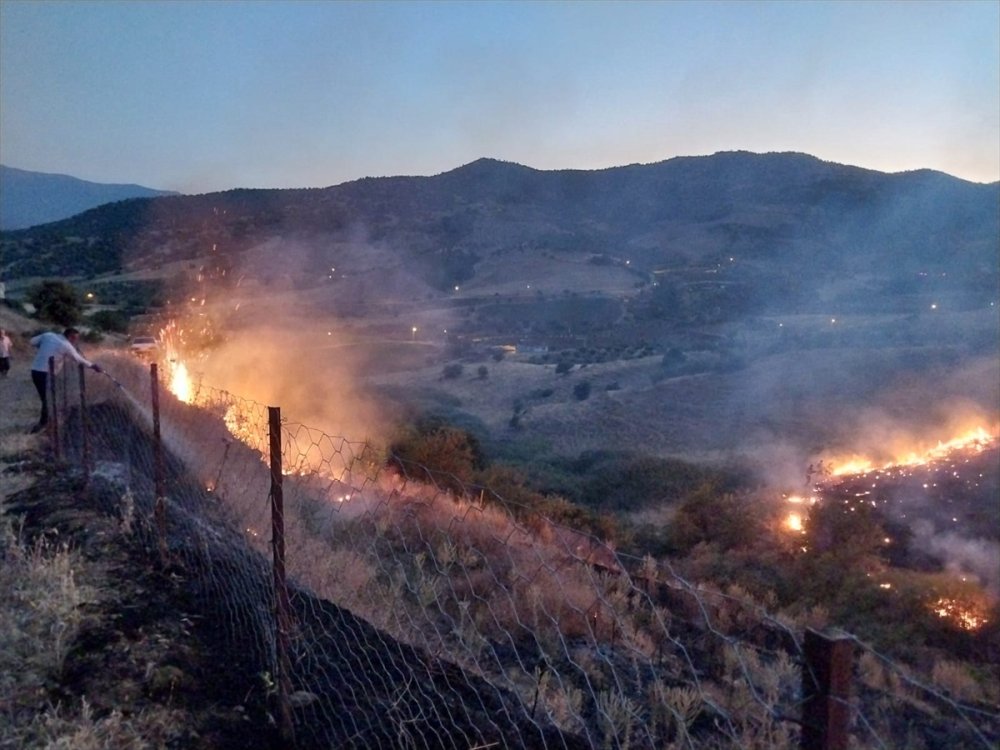 İzmir Ödemiş'te çıkan yangın söndürüldü